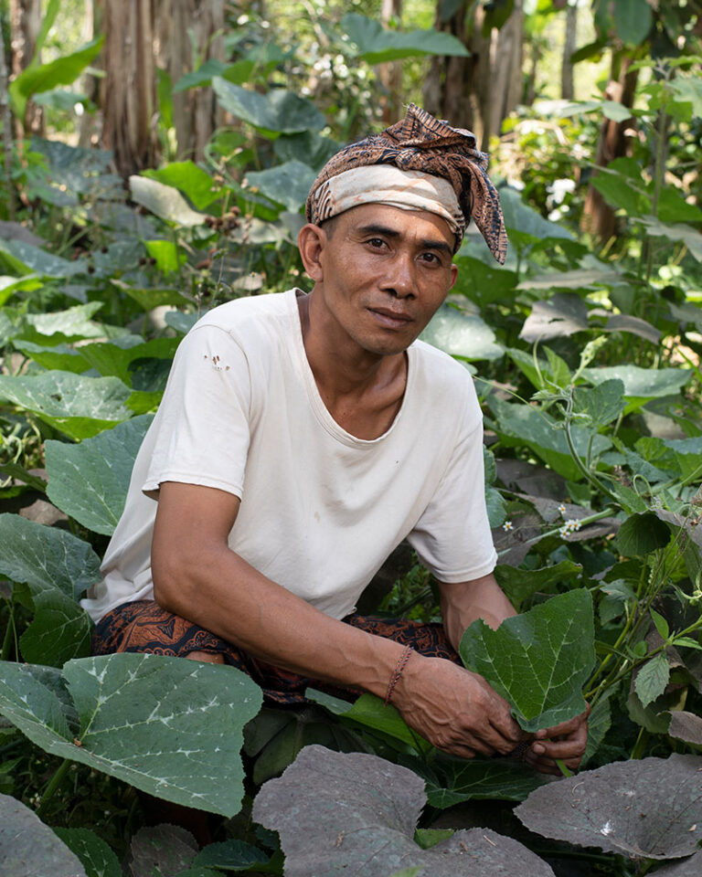 Agung---Forager